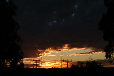 Low angle view of silhouette trees against sky during sunset