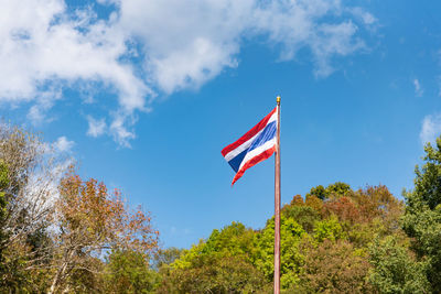 Low angle view of flag amidst plants against sky