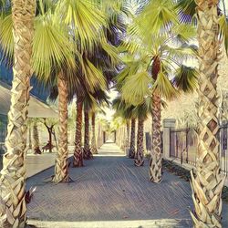 Footpath leading towards trees