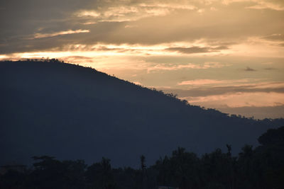 Low angle view of silhouette trees against sky at sunset