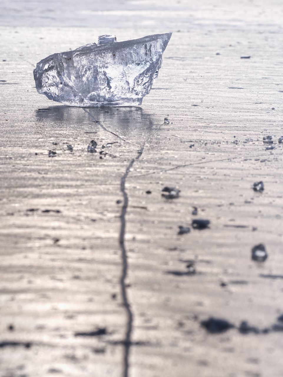 CLOSE-UP OF WOOD ON SAND