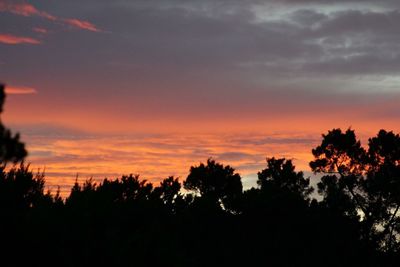 High section of silhouette trees against scenic sky