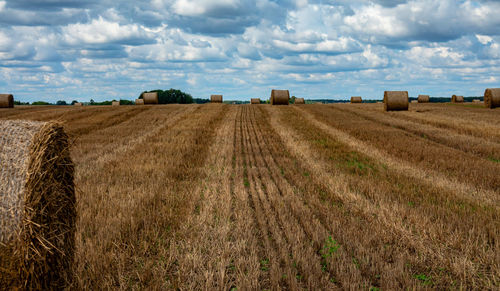 Scenic view of farm against sky