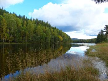 Scenic view of lake in forest against sky