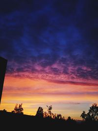 Low angle view of silhouette trees against dramatic sky