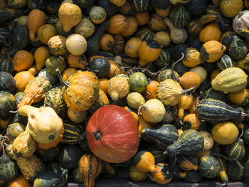 Full frame shot of pumpkins