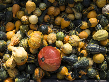 Full frame shot of vegetables for sale at market