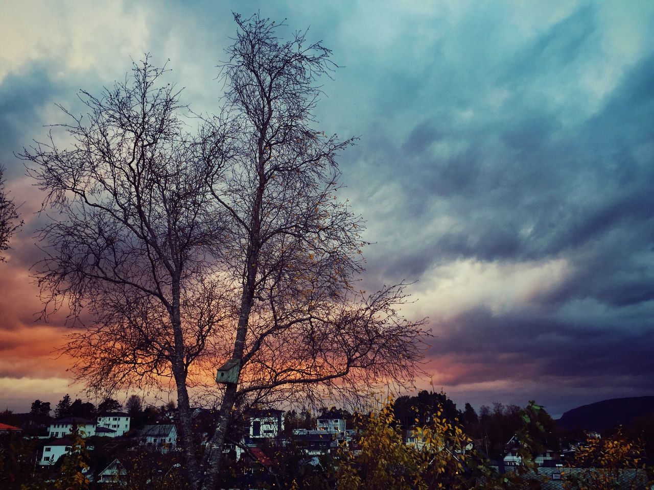 sky, tree, cloud - sky, bare tree, cloudy, silhouette, building exterior, sunset, cloud, branch, weather, built structure, architecture, low angle view, dusk, overcast, nature, beauty in nature, scenics, dramatic sky