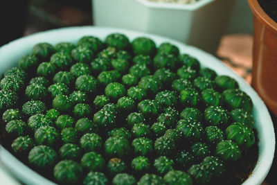 High angle view of salad in bowl