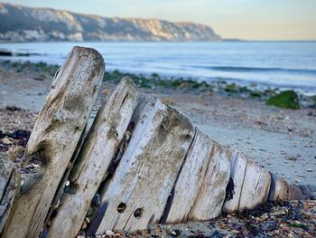 Close-up of wooden posts on beach