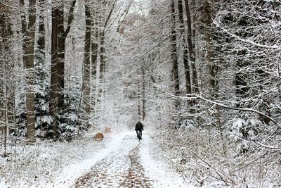 Man walking in snow covered forest