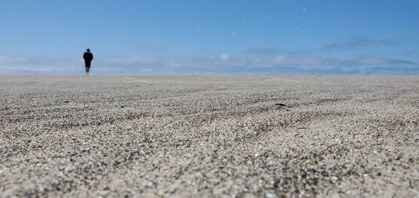 Interesting shot and angle at beach near lincoln city oregon