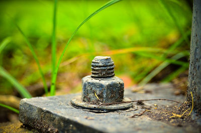 Close-up of bolt in built structure