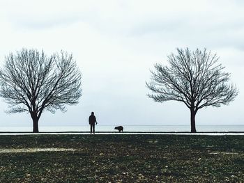 Silhouette man standing on bare tree against sky
