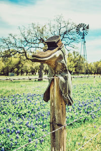 Close-up of wooden sculpture on field