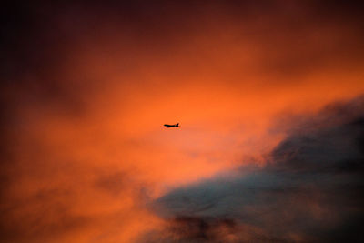 Low angle view of silhouette airplane flying against orange sky