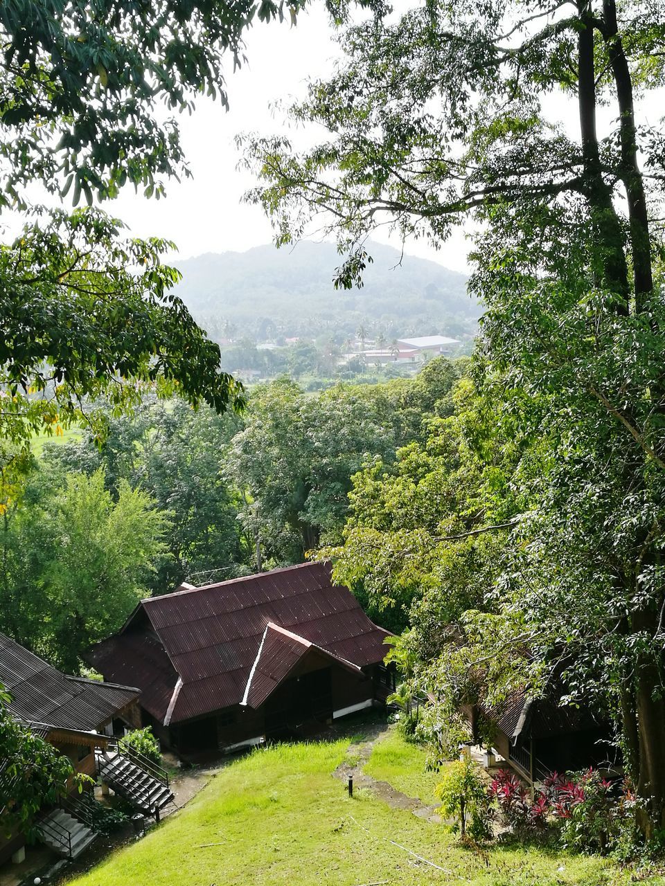 SCENIC VIEW OF GREEN LANDSCAPE