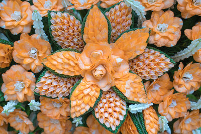 Full frame shot of flowering plants