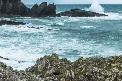 Scenic view of sea shore