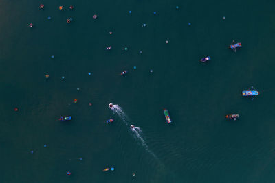 High angle view of ducks floating on lake