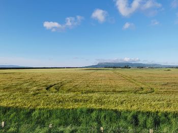 Hill rising from the fields of crops