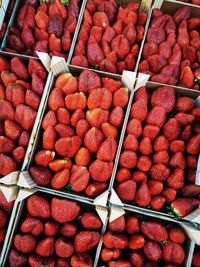 Seasonal strawberries at street market