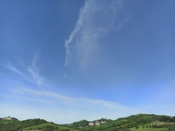 Low angle view of trees against sky