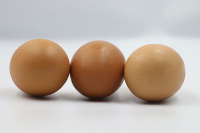 Close-up of eggs against white background