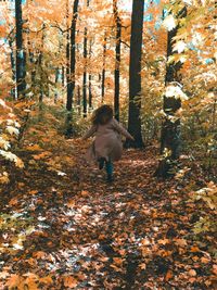 Woman walking with autumn leaves in forest