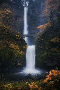 Scenic view of waterfall in forest