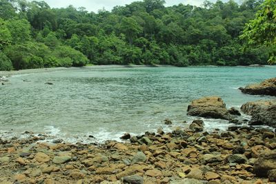 Scenic view of rocks in sea