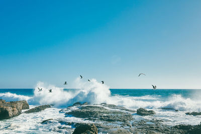 Flock of birds in sea against sky