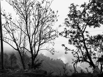 Bare trees on landscape against sky