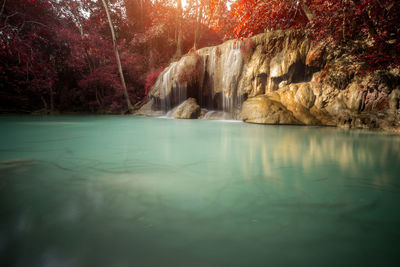 Scenic view of lake in forest