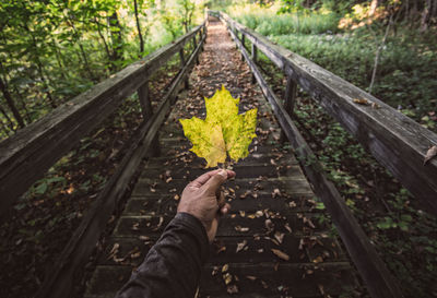 Close-up of man hand holding railroad track in forest