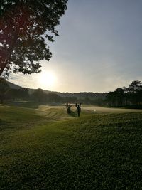 Man on golf course against sky during sunset