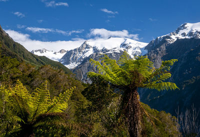 Scenic view of snowcapped mountains against sky