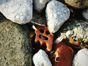 Close-up of pebbles on rock