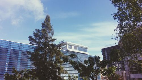 Low angle view of trees and buildings against sky