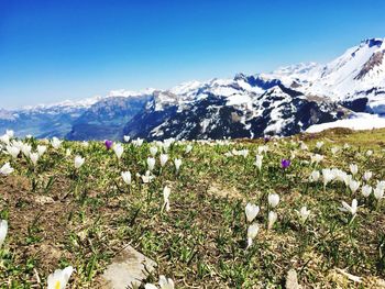 Scenic view of snow covered mountain against sky