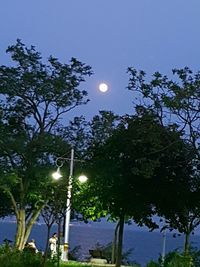 Low angle view of illuminated street light against sky at night