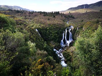 Waipunga falls, new zealand
