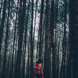 Woman looking up in the forest