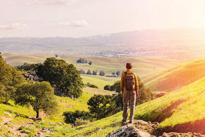 Rear view of man standing on landscape against sky