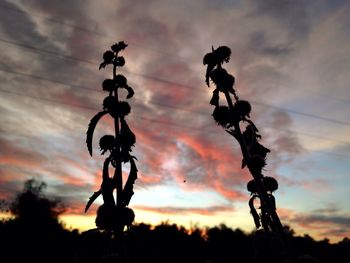Low angle view of cloudy sky at sunset