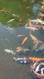 View of boats in water