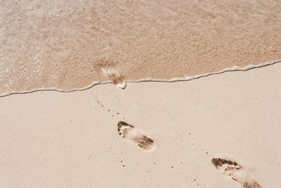 High angle view of footprints on beach