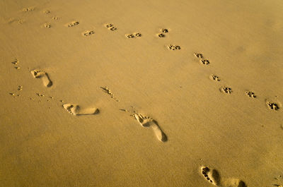 High angle view of footprints on sandy beach