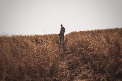 Rear view of man standing on field against sky