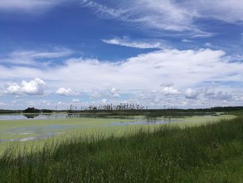 Scenic view of field against sky